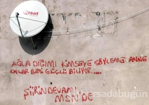 Çılgın türkler güldürüyor...