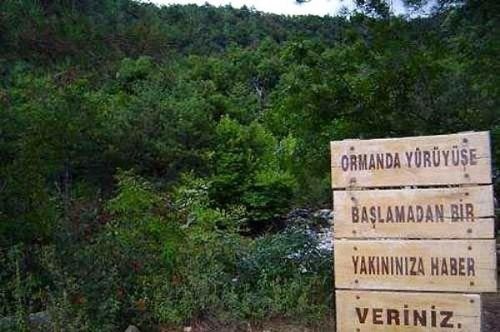 Çılgın türkler güldürüyor...