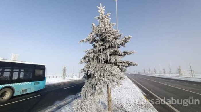 Erzurum ve Erzincan'da  buz tuttu!