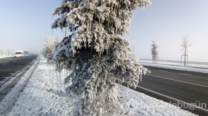 Erzurum ve Erzincan'da  buz tuttu!