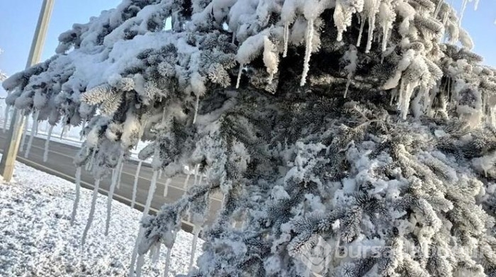 Erzurum ve Erzincan'da  buz tuttu!