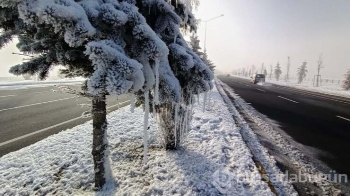 Erzurum ve Erzincan'da  buz tuttu!