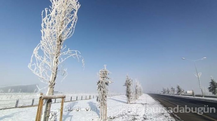 Erzurum ve Erzincan'da  buz tuttu!