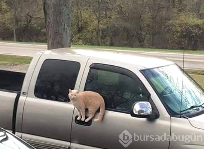 Görüp görebileceğiniz en değişik fotoğraflar...