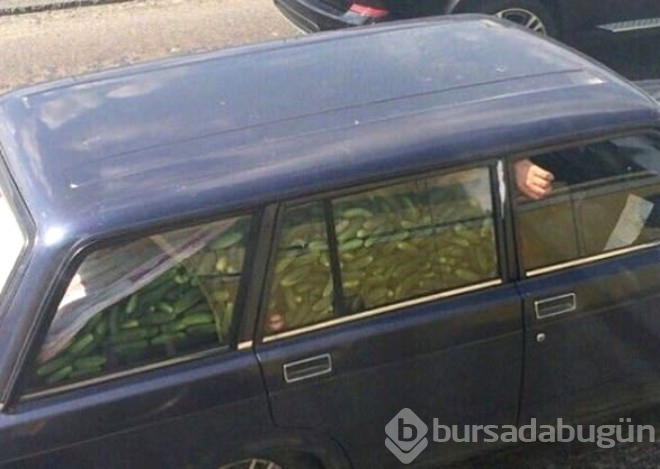Görüp görebileceğiniz en değişik fotoğraflar...