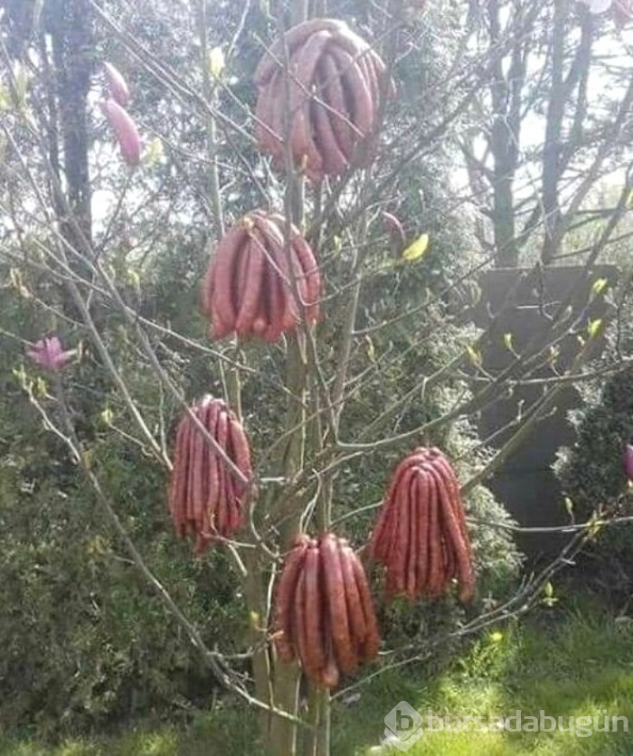 Görüp görebileceğiniz en değişik fotoğraflar...