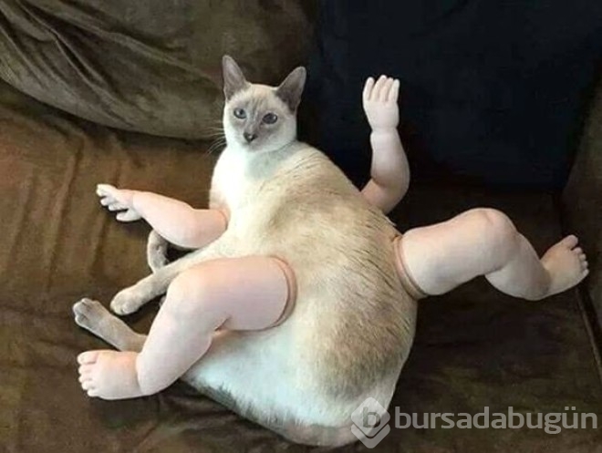 Görüp görebileceğiniz en değişik fotoğraflar...