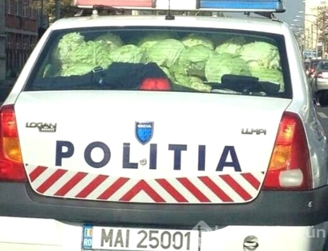 Görüp görebileceğiniz en değişik fotoğraflar...