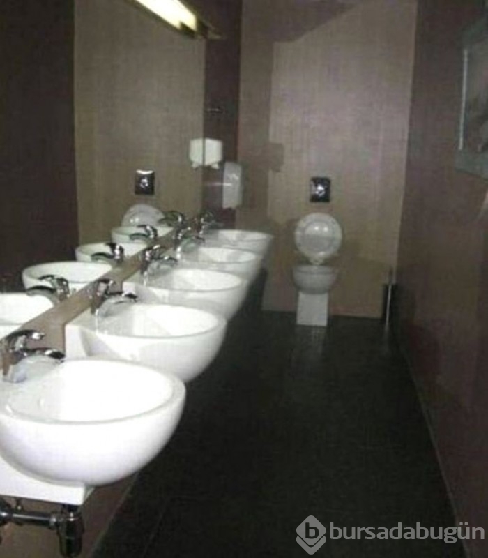 Görüp görebileceğiniz en değişik fotoğraflar...