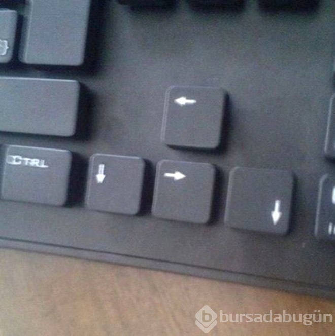 Görüp görebileceğiniz en değişik fotoğraflar...