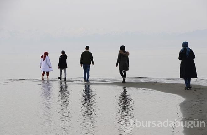 İnanması güç görüntüler! Van Gölü'nün üzerinde yürüdüler