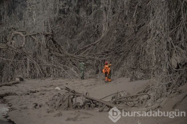 Endonezya'da Semeru yanardağı patladı: 14 kişi öldü onlarca köy boşaltıldı