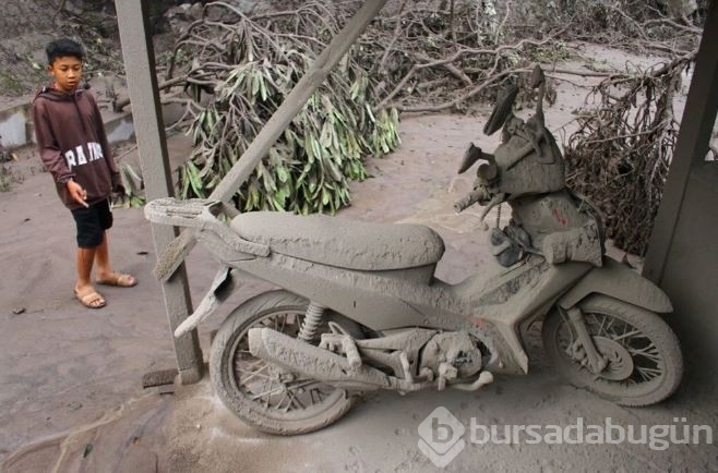 Endonezya'da Semeru yanardağı patladı: 14 kişi öldü onlarca köy boşaltıldı