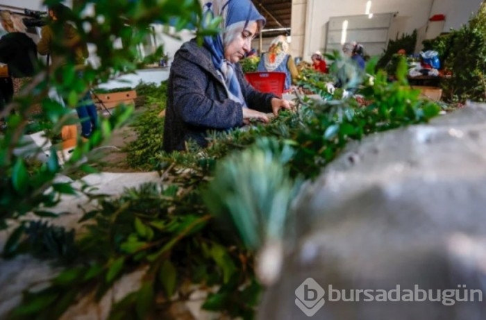 Antalya'da kadınlar Avrupa'ya Noel çelengi hazırlıyor
