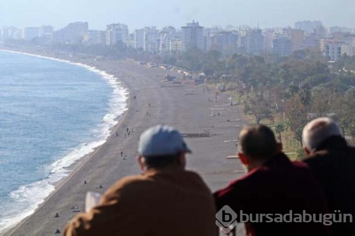 Akın ettiler! Antalya'da şaşırtan anlar
