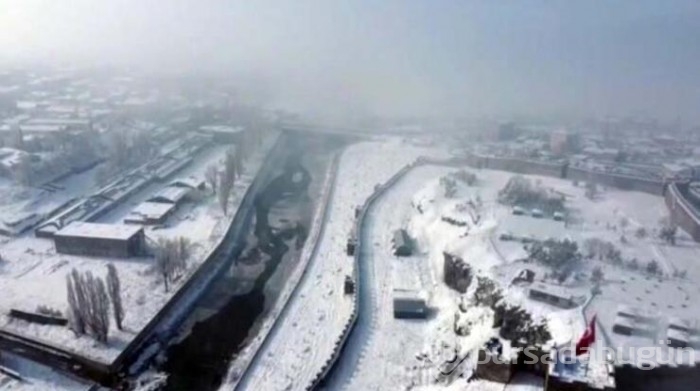 Eksi 15 dereceyle buz kesti; örümcek ağı bile dondu
