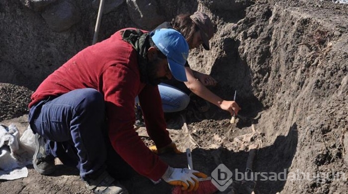 Hamaç Höyük kazısında nekropol bulundu

