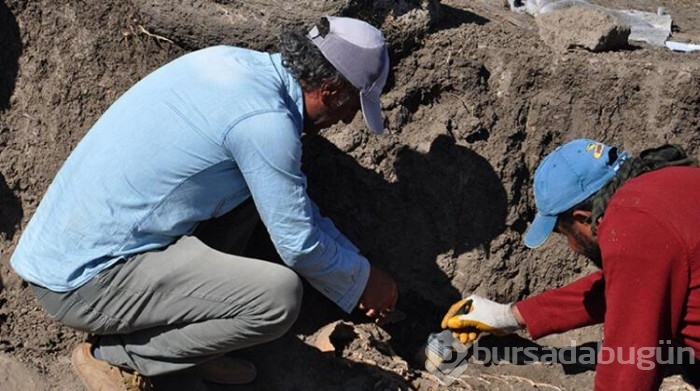 Hamaç Höyük kazısında nekropol bulundu
