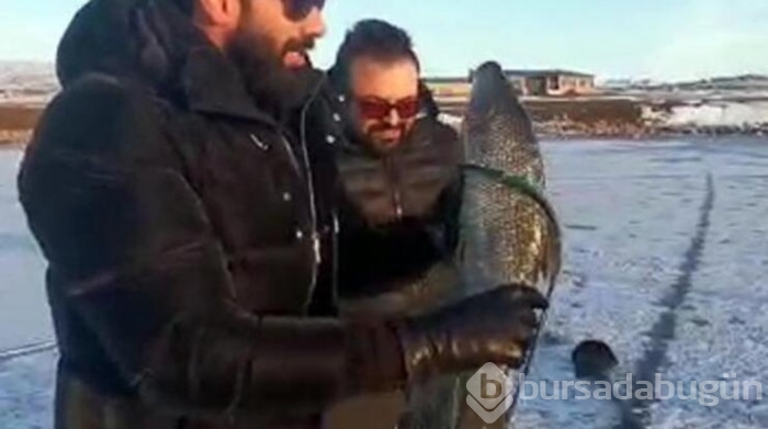 Çıldır Gölü'nün üzerinde atlı kızak turu...
