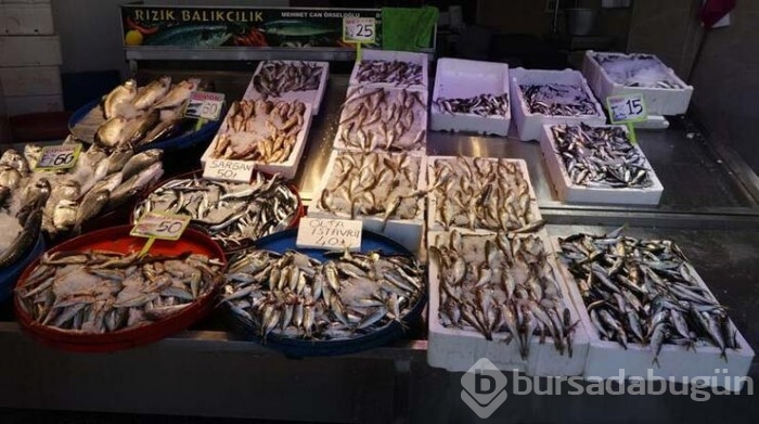 Karadeniz'de bu yıl hamsi erken tükendi!
