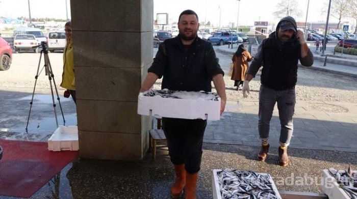 Karadeniz'de bu yıl hamsi erken tükendi!
