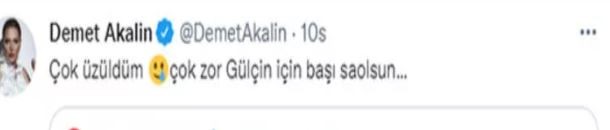 Ünlü isimlerden Gülçin Ergül'e destek
