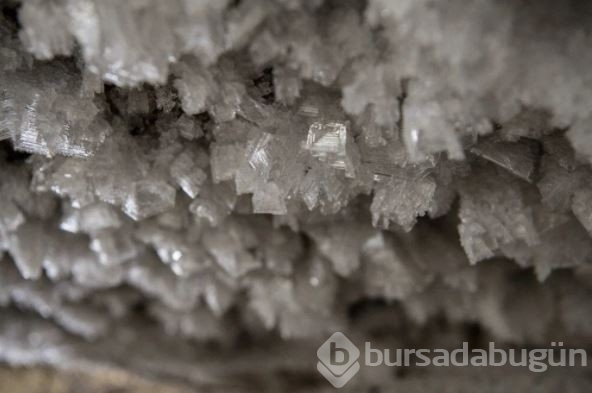 Kritik uyarı: Sibirya'daki buzların erimesi antik virüs ve bakterileri serbest bırakacak