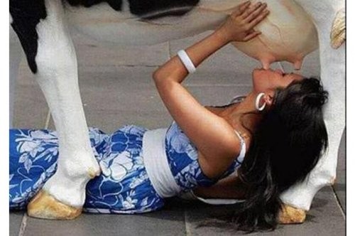 Tüm zamanların en komik fotoğrafları...
