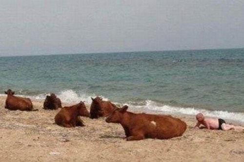 Tüm zamanların en komik fotoğrafları...
