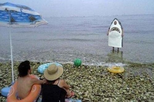 Tüm zamanların en komik fotoğrafları...
