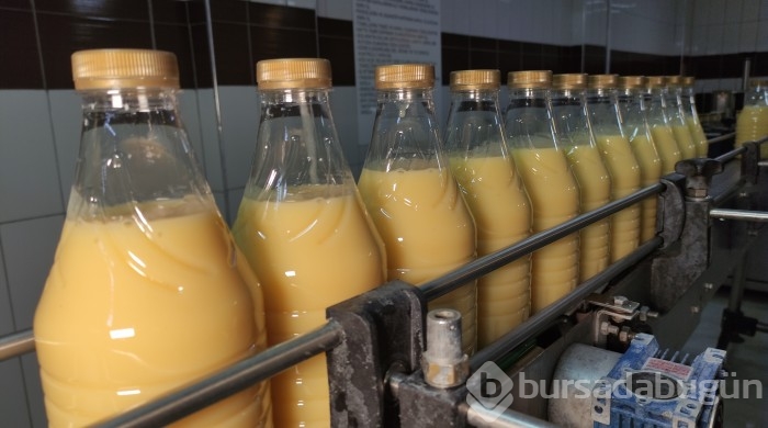 Bursa'da boza içerek büyüyen ailede boyu 1.90'ın altında kimse yok
