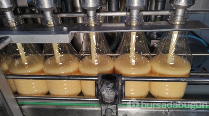 Bursa'da boza içerek büyüyen ailede boyu 1.90'ın altında kimse yok

