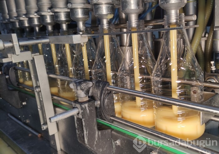Bursa'da boza içerek büyüyen ailede boyu 1.90'ın altında kimse yok
