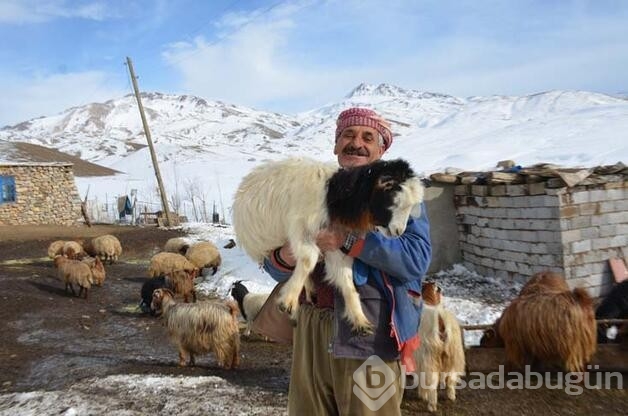 4 Yıldır yaylada tek başına yaşıyor!
