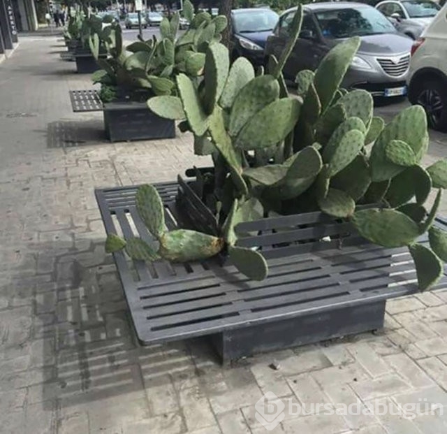 Bu kadarına pes dedirtecek mimarlık hataları...
