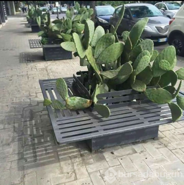 Bu kadarına pes dedirtecek mimarlık hataları...

