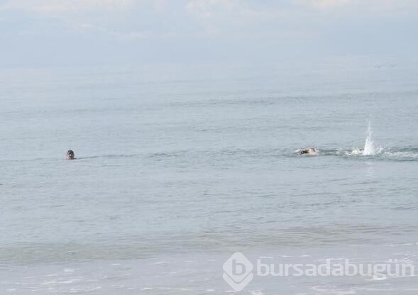 Antalya'da deniz keyfi!