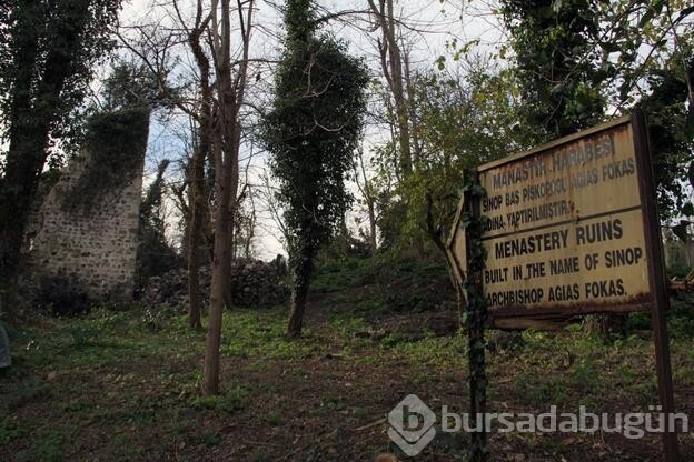 Giresun Adası'nın gizemi çözüldü!