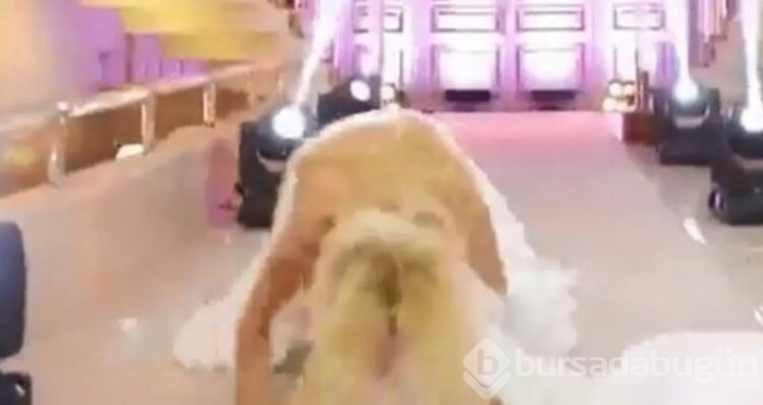 Ahu Yağtu'nun büyük şanssızlığı...