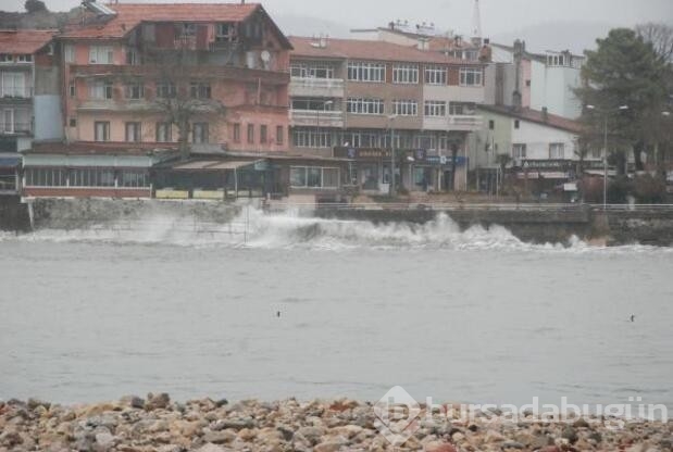 Şiddetli rüzgar gemileri limana demirledi!
