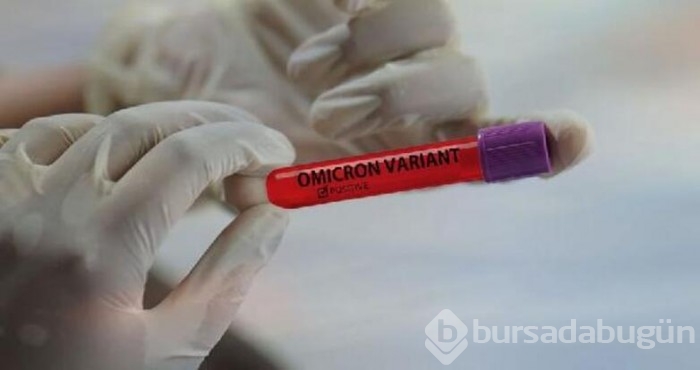 Omicron akciğer hücrelerine daha hızlı yayılıyor!