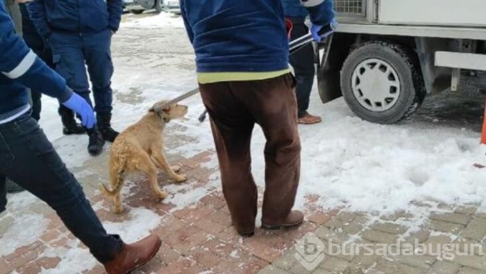 Kötü koşullarda tutulan 2 köpeğe el konuldu!