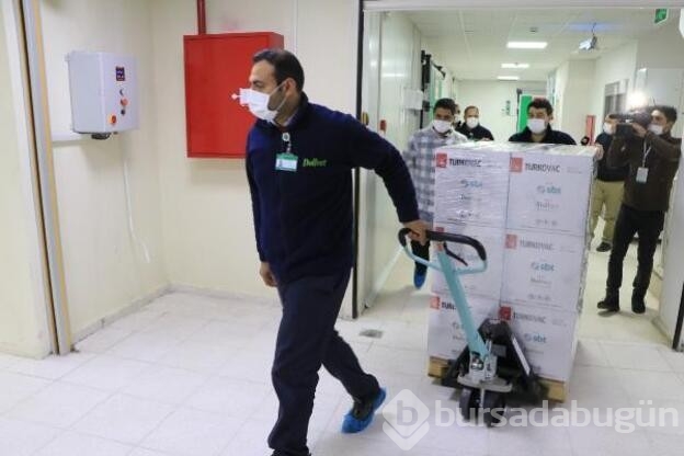 Yerli aşının ilk sevkiyatı belli oldu!