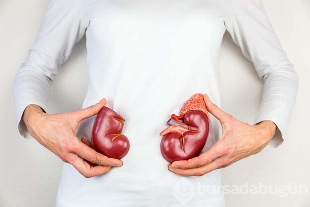 Yaş aldıkça böbrekler görevini yitiriyor!