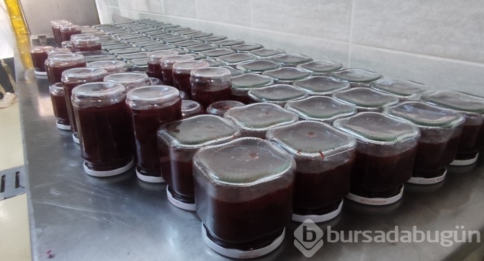 Bursa'da bu öğrenciler keçi sağıp, tavuk bakıyor