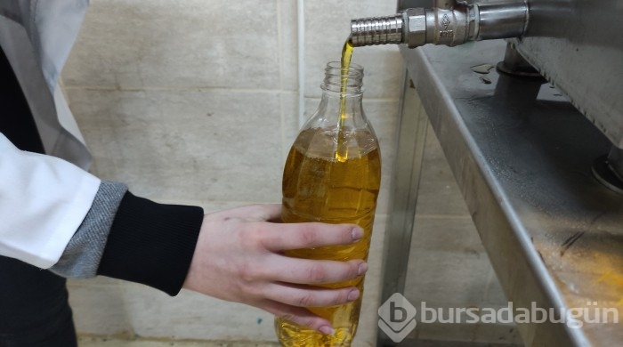 Bursa'da bu öğrenciler keçi sağıp, tavuk bakıyor