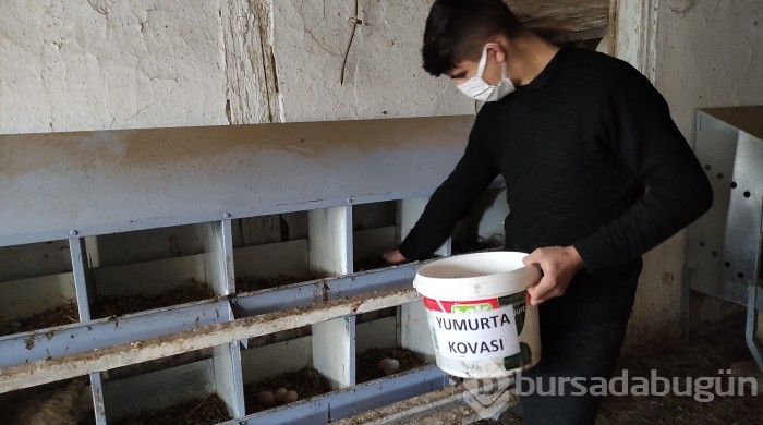 Bursa'da bu öğrenciler keçi sağıp, tavuk bakıyor