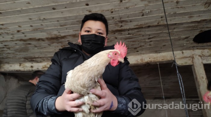Bursa'da bu öğrenciler keçi sağıp, tavuk bakıyor
