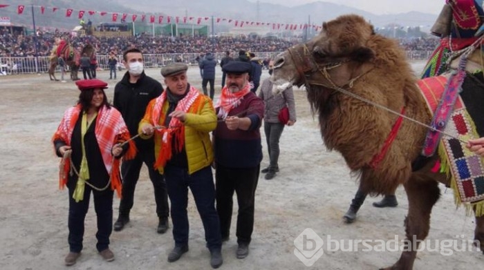 Yılın son deve güreşi binlerce kişi tarafından izlendi
