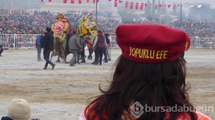 Yılın son deve güreşi binlerce kişi tarafından izlendi

